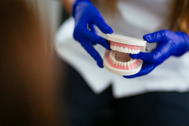 Best Dental Exams and Cleanings  in Fredonia, NY